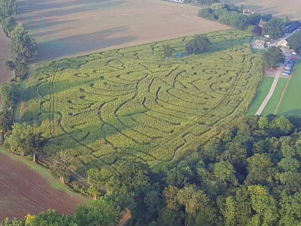Maize Maze